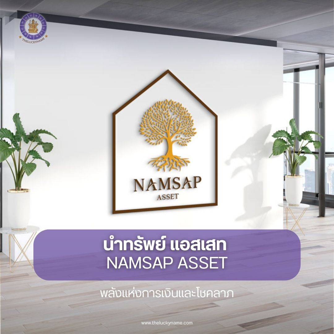 ตั้งชื่อบริษัทอสังหาริมทรัพย์ นำทรัพย์ แอสเสท