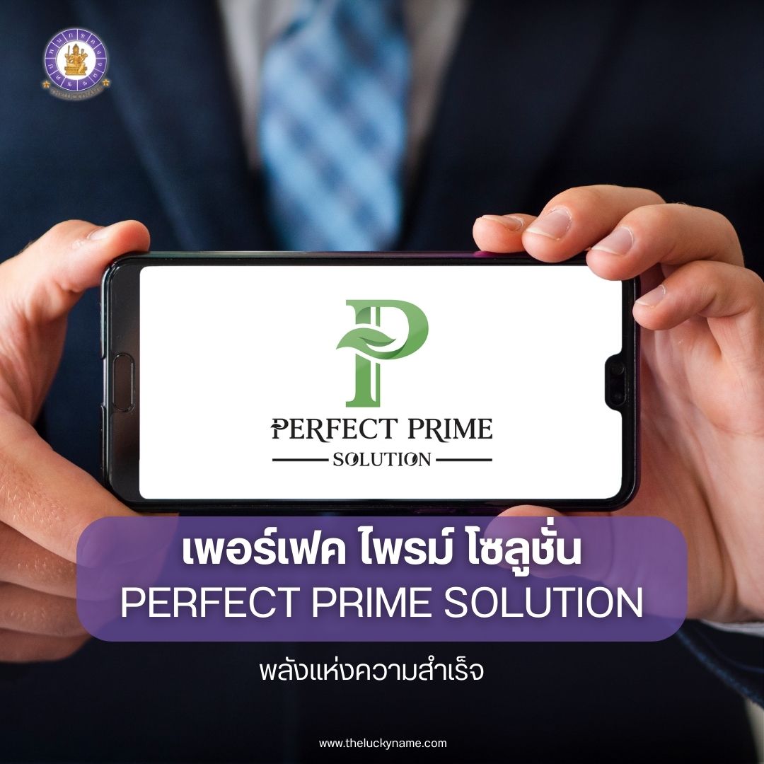 ตั้งชื่อบริษัทไอที PERFECT PRIME SOLUTION