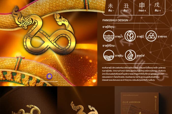 ผลงานออกแบบโลโก้ฮวงจุ้ย - 5