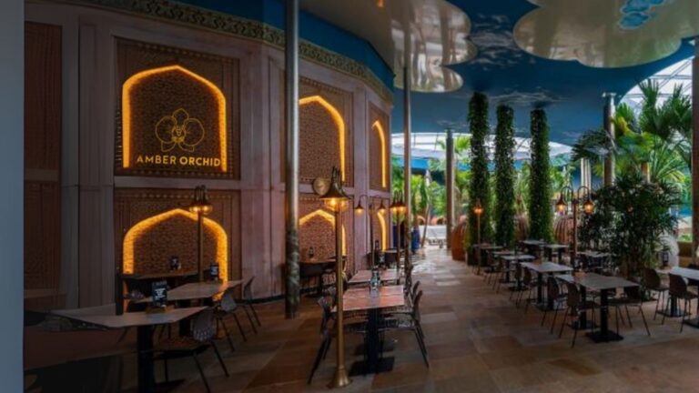 โลโก้ร้านฮวงจุ้ย-AMBER ORCHID