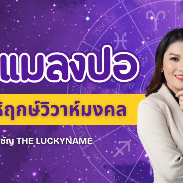 ดิถีแมลงปอ