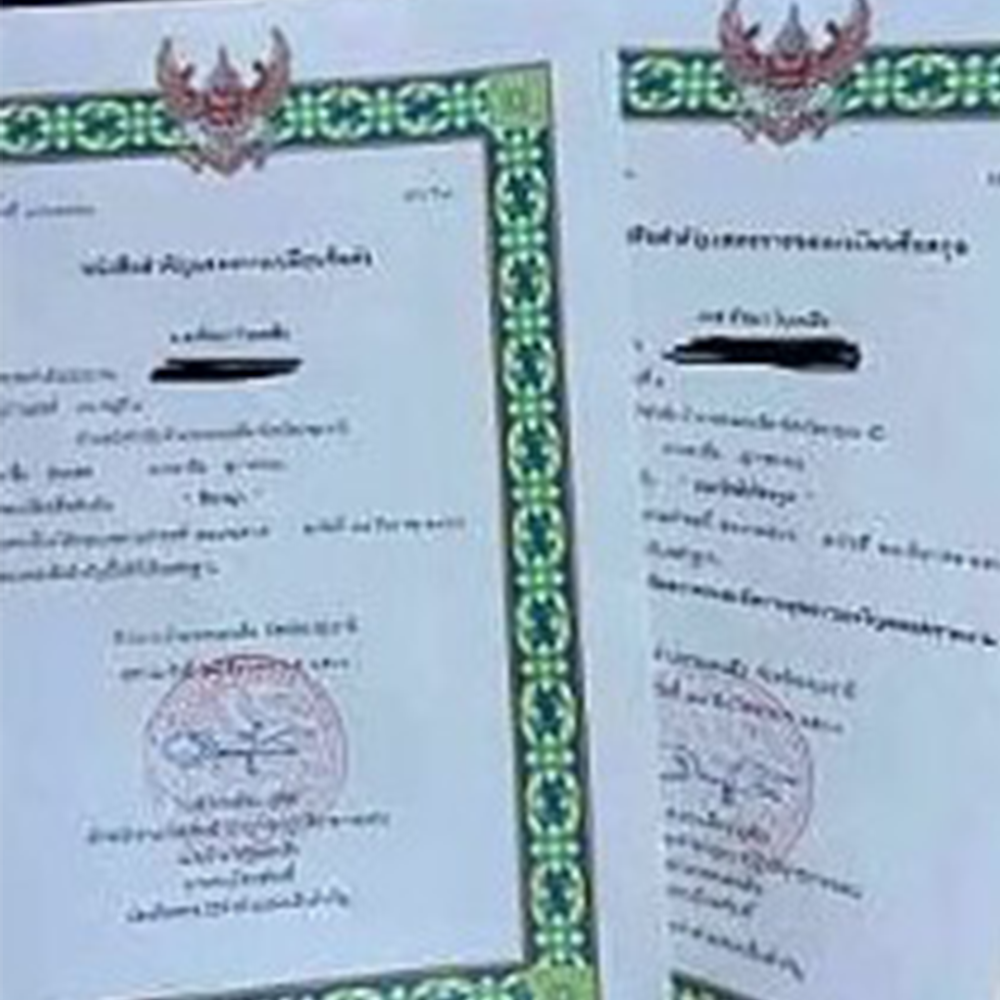 ผลงานชื่อนามสกุล10
