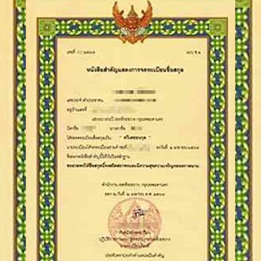 ผลงานชื่อนามสกุล6